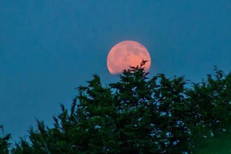 Imagen: La luna de fresa iluminará el cielo de México el 11 de junio de 2025; te decimos cómo verla