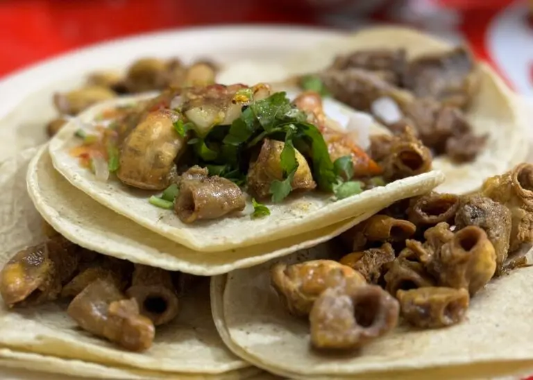 Imagen: ¿Peligro o placer? Todo sobre los tacos de tripa en México