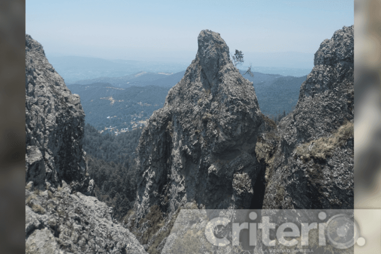 Imagen: Mineral del Chico: los mejores miradores para ver el bosque desde las alturas