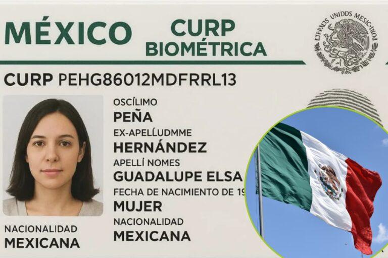Imagen: ¿Cuándo podrás obtener tu CURP biométrica? Aquí te contamos todos los detalles