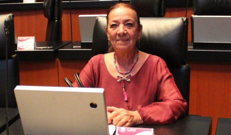 Imagen: “Si quieren una Guardia civil, recluten a los mamados del gimnasio”, aseguró senadora de Morena