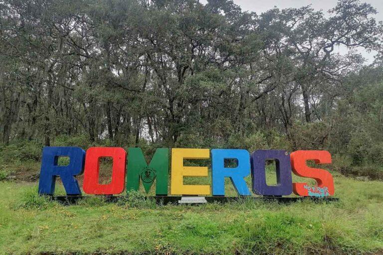 Imagen: Sin pruebas del envenenamiento masivo de perros en Tulantepec: Sanidad