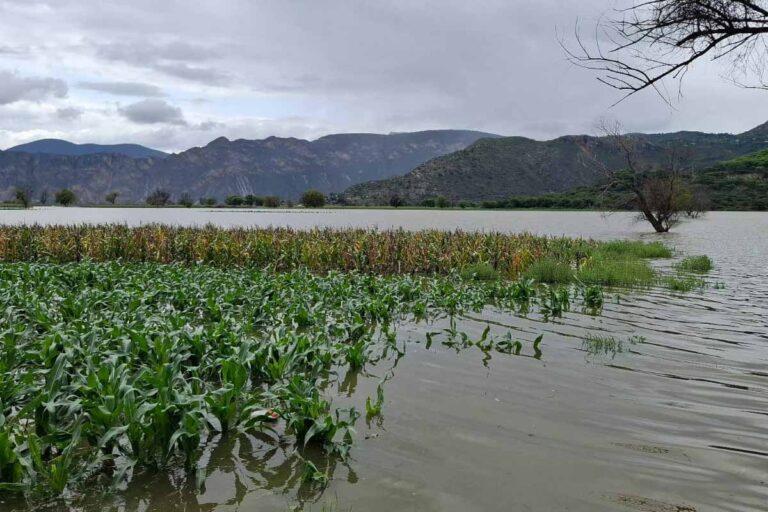 Imagen: Lluvias afectan cultivos y caminos en Eloxochitlán