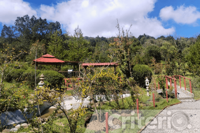 Imagen: Visita un rincón de Japón a solo minutos de Real del Monte