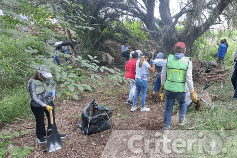 Imagen: Realizan jornada de limpieza y reforestación en la ribera del río Tula