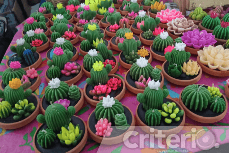 Imagen: Velas con forma de cactáceas: artesana lucha por mantener su negocio vivo