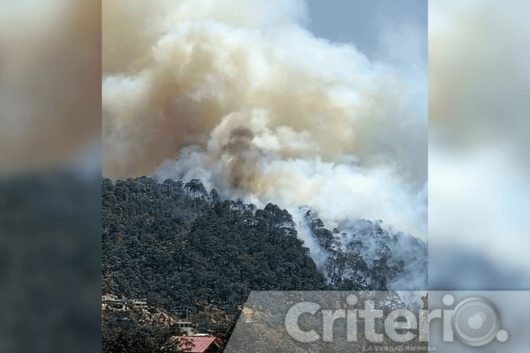 Imagen: Disminuyen incendios forestales en Hidalgo, pero municipios enfrentan retos ambientales