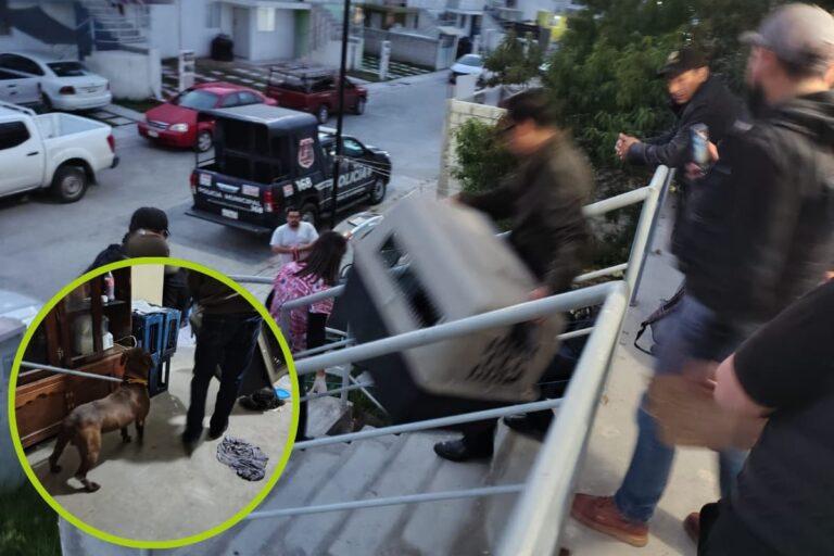 Imagen: Rescate animal en Mineral de la Reforma: un pitbull rescatado tras denuncia en redes sociales