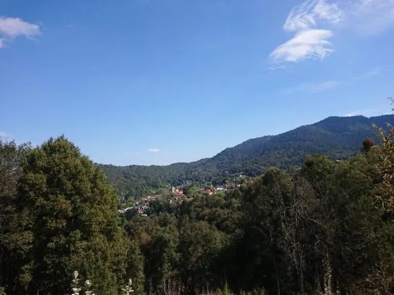 Imagen: ¿Cuándo terminará el saneamiento del parque nacional El Chico?