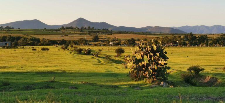 Imagen: Este ejido de Tula fue declarado reserva natural protegida