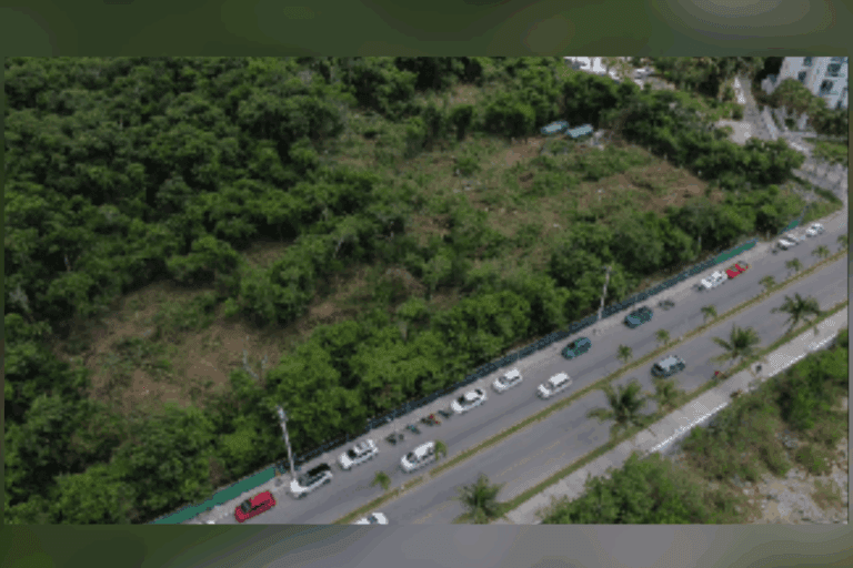 Imagen: Denuncian ecocidio en Cozumel: Eliminan selva por plaza comercial