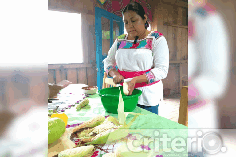 Imagen: Chileatole, tlaxcales y más: la cocina de temporada con maíz en Hidalgo