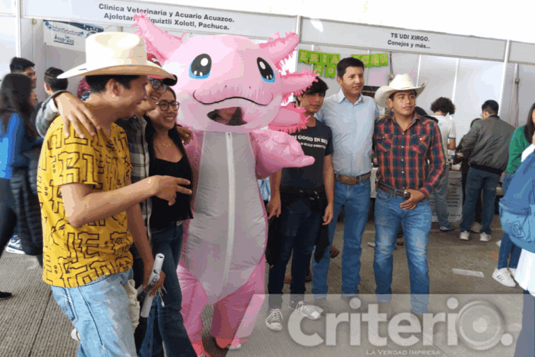 Imagen: Taller de cartonería para crear tu propio ajolote llega a Pachuca ¿Cuándo y cómo participar?