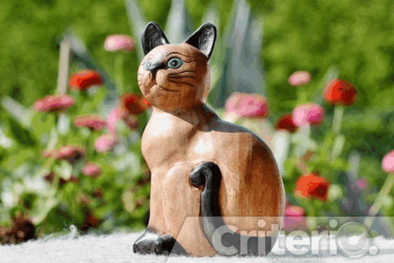 Imagen: ¿Tienes madera de artista? Este taller en Actopan te ayudará a descubrirlo