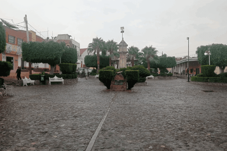 Imagen: La alcaldía de San Agustín Metzquititlán otorgó 6 de 10 contratos a un proveedor