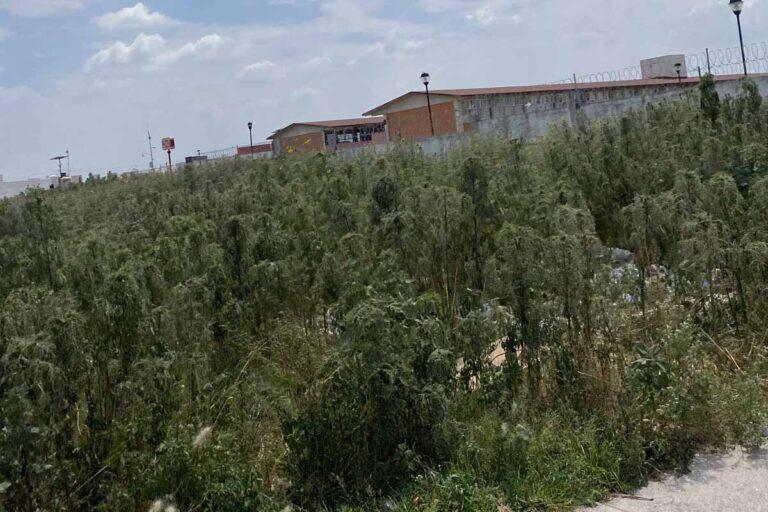 Imagen: Falta mantenimiento a exteriores de planteles en colonias de Tizayuca
