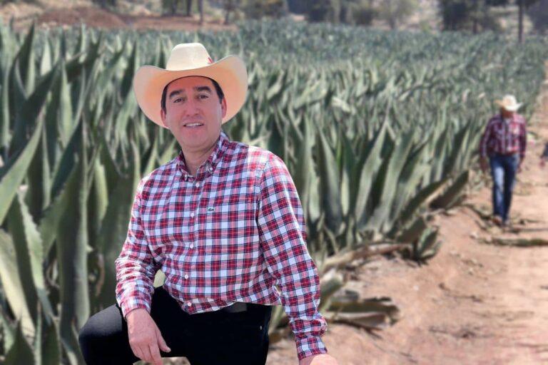 Imagen: El maguey no se verá perjudicado por parque fotovoltaico, asegura Napoleón González