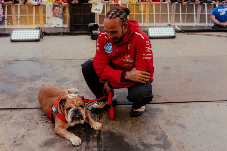 Imagen: El arte LEGO que tocó el corazón de Lewis Hamilton