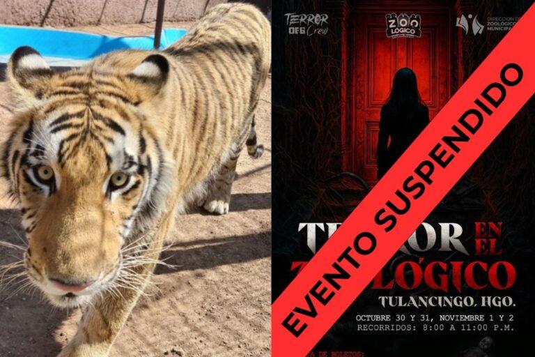 Imagen: Profepa ordena suspensión del evento Terror en el Zoológico, en Tulancingo