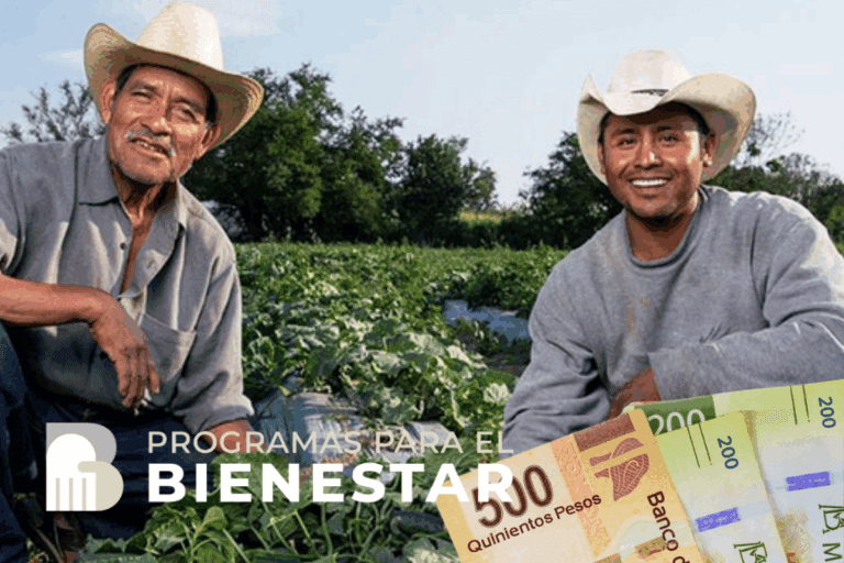 Imagen: ¿Sabías que hay un Programa del Bienestar que da hasta 24 mil pesos al año sin tantos trámites? Aquí los detalles