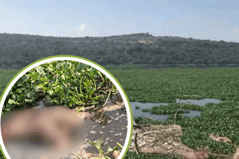Imagen: Localizan cuerpo flotando en la presa Endhó