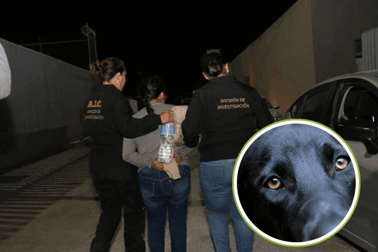 Imagen: Vinculan a proceso a mujer que agredió con machete a una perrita en Pachuca