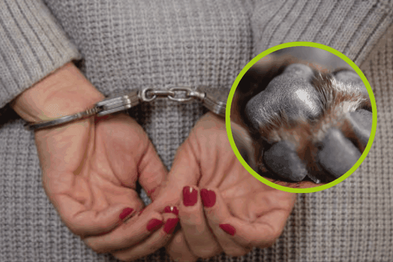 Imagen: Detenida en Pachuca por Maltrato Animal ¿Qué hizo?