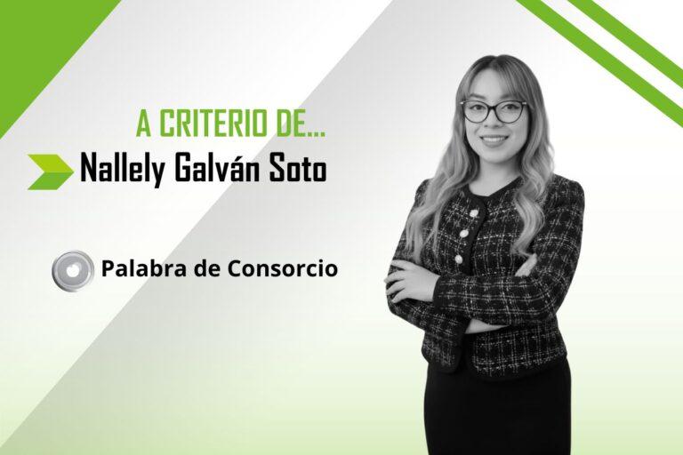 Imagen: La educación, base del desarrollo infantil