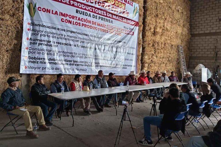 Imagen: ¿Para qué productores de Hidalgo buscan que el maíz sea elevado a rango constitucional?