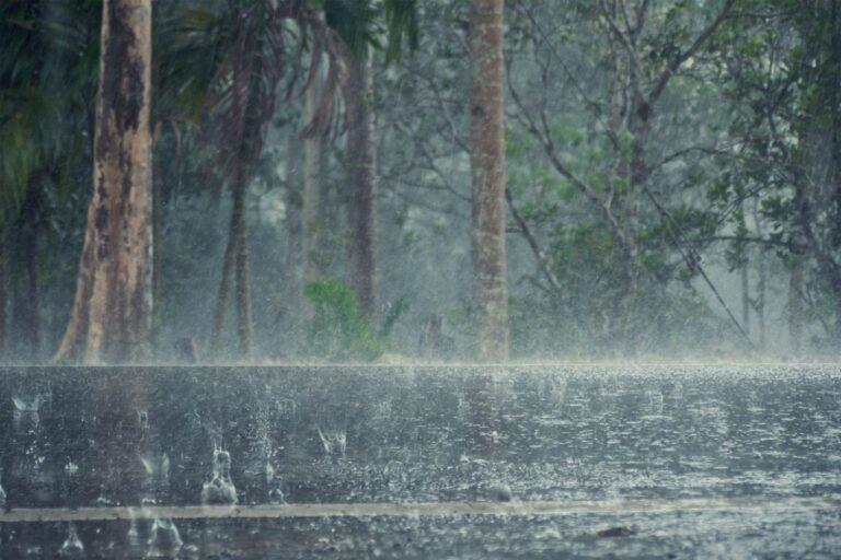 Imagen: Hidalgo se congela: Frente frío 19 llega con lluvias torrenciales y bajas temperaturas en estos municipios este 8 de diciembre