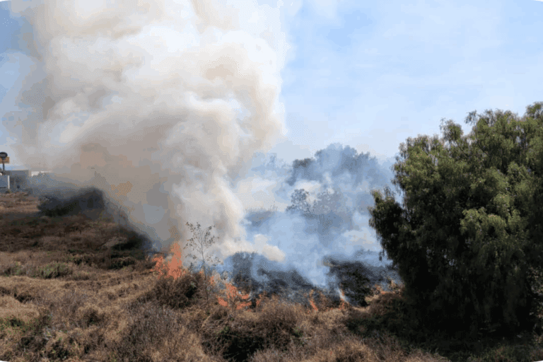 Imagen: Incendio en un terreno baldío de Villas de Pachuca causó movilización