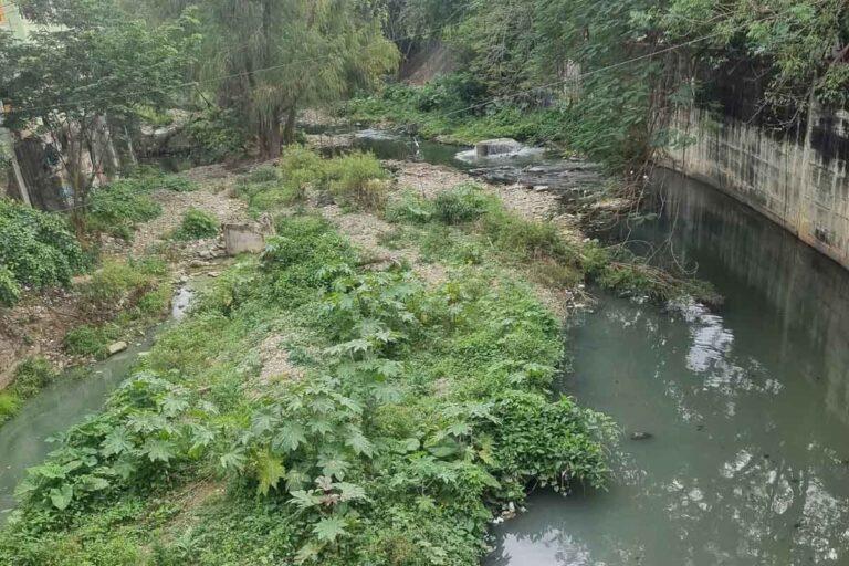 Imagen: Huasteca Verde llama a frenar la contaminación de arroyos en Huejutla