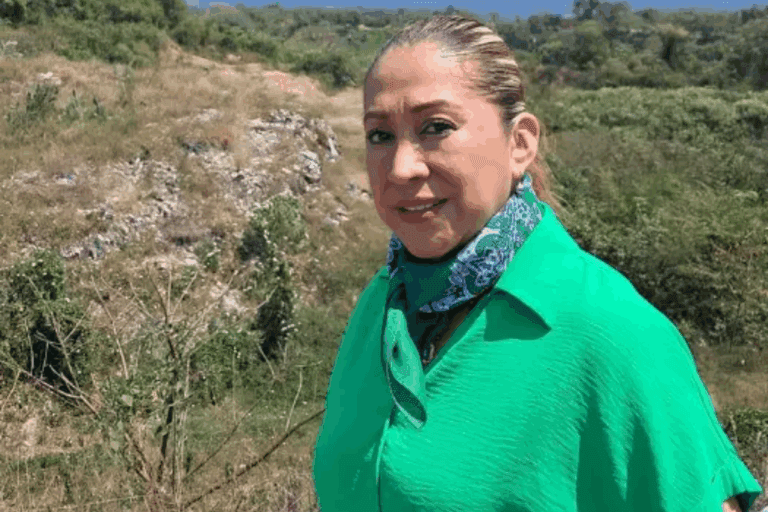 Imagen: Partido Verde niega persecución política por caso de diputada con licencia en Hidalgo