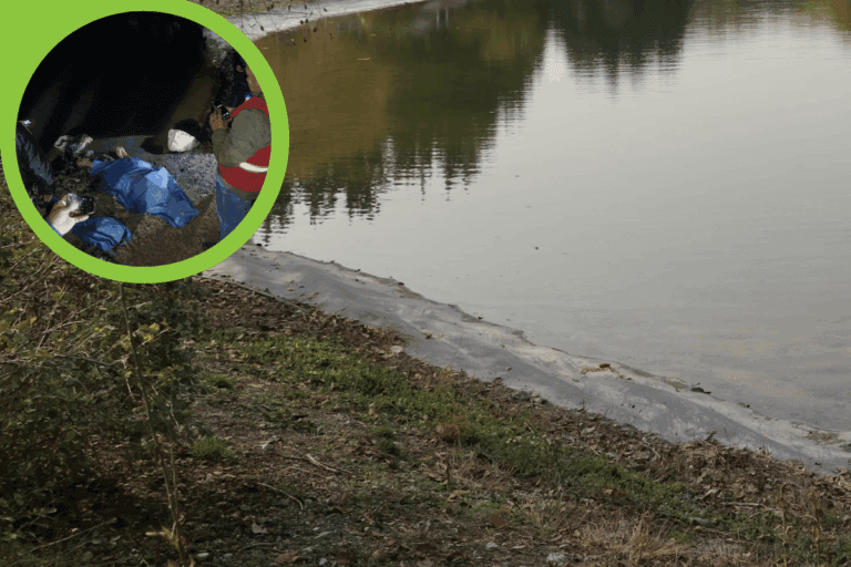 Imagen: Fallecen dos jóvenes por ahogamiento en San Agustín Tlaxiaca