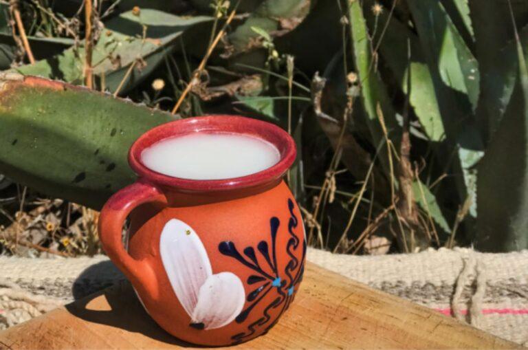 Imagen: El pulque ya tiene su día oficial en la Ciudad de México