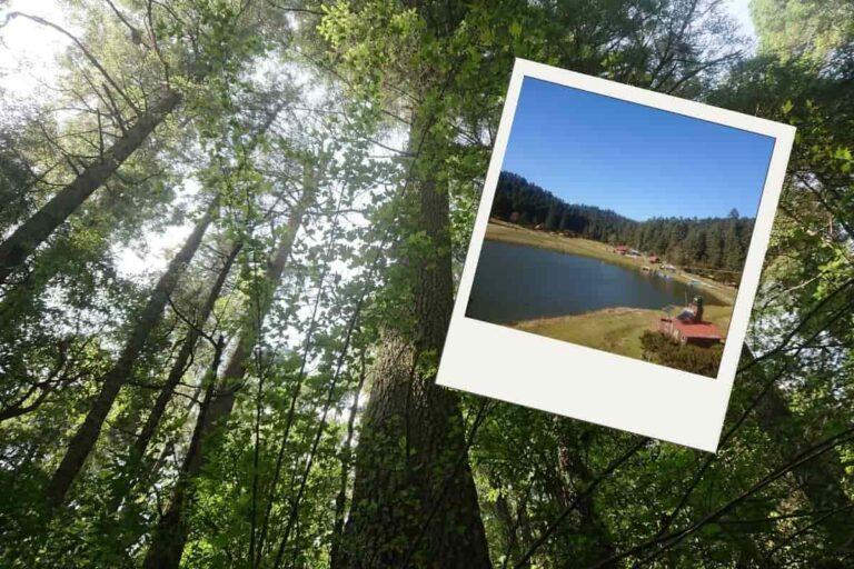 Imagen: ¿Crees que Pachuca no tiene rincones acuáticos? Conócelos y convive con la naturaleza