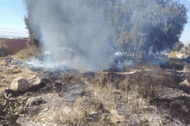 Imagen: Fuego en el cerro Vista Hermosa: Protección Civil de Pachuca logra controlar el incendio