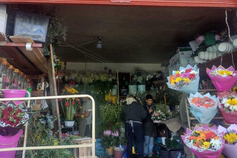 Imagen: ¿Cuáles son las flores más solicitadas para este 14 de febrero en Atotonilco el Grande?