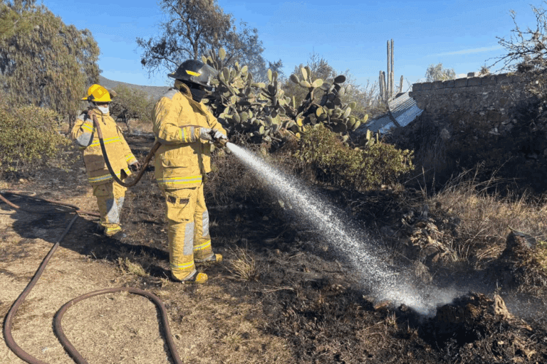 Imagen: Alerta en Cardonal: incendio de pastizal afecta zona rural
