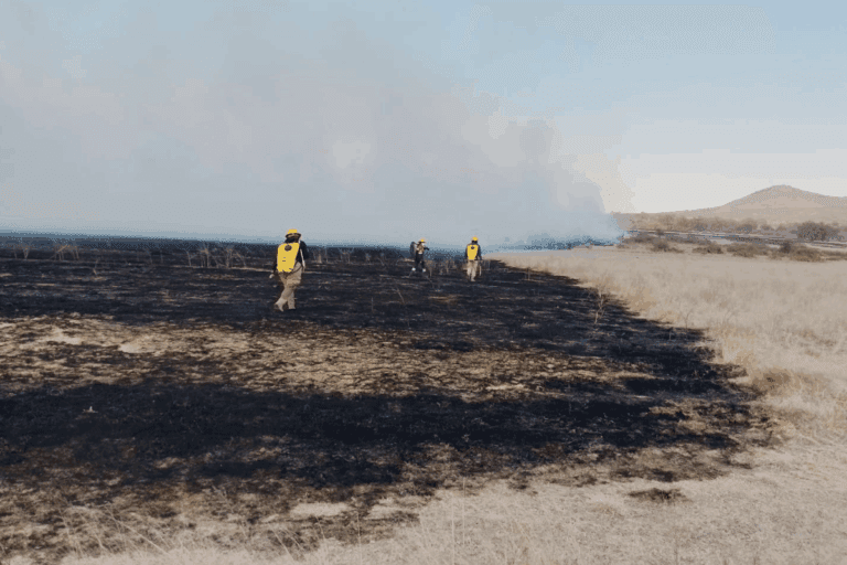 Imagen: Incendio entre Tepeapulco y Emiliano Zapata causa accidentes viales