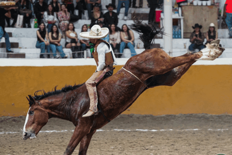 Imagen: Rozan Regionales de Nopala podio en el Nacional Charro por aniversario de la FMCH