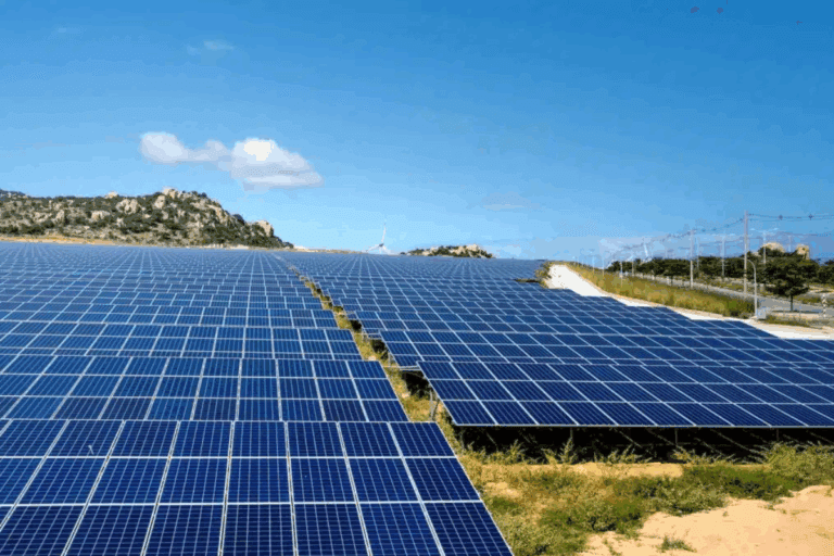 Imagen: Llegará parque fotovoltaico a Zapotlán