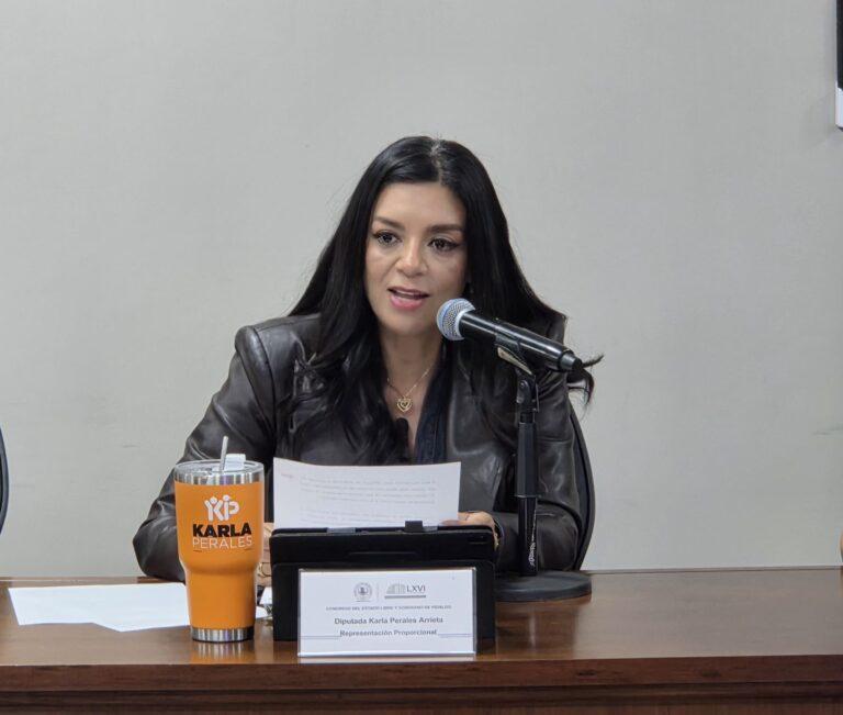 Imagen: Acceso a vivienda para jóvenes: la propuesta de Karla Perales en el Congreso de Hidalgo