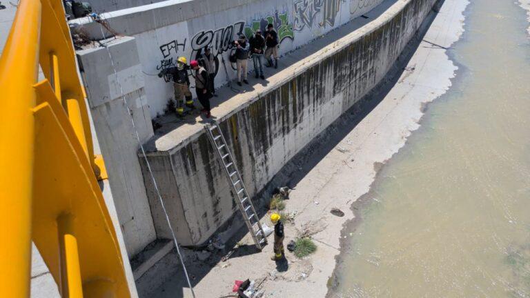 Imagen: Protección Civil en Pachuca intenta rescatar a tres perros atrapados en el canal