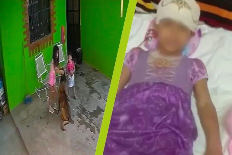 Imagen: En Coahuila, perro que atacó a una niña será sacrificado; así ocurrieron los hechos