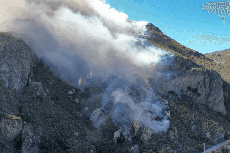 Imagen: Hidalgo suma tercer día con incendios activos; Semarnath reporta siniestros este martes