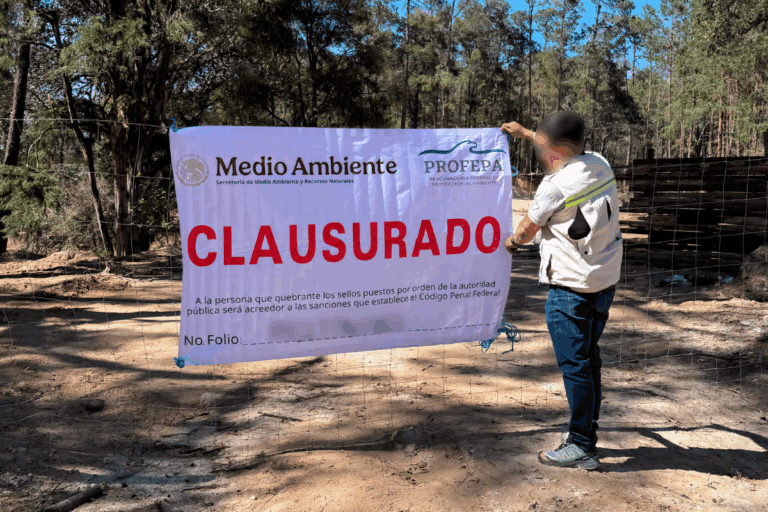 Imagen: Profepa interviene y clausura actividades en Zacualtipán tras denuncia ciudadana
