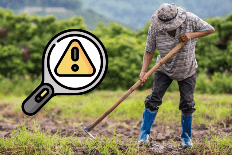 Imagen: ¡Alerta en Hidalgo! Detectan ofertas de empleo falsas en Facebook