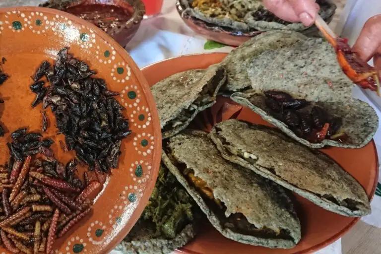 Imagen: Día del Taco: los sabores más exóticos que Hidalgo ofrece