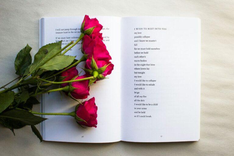 Imagen: Celebrarán a la poesía en Pachuca con un evento que reúne a varios artistas